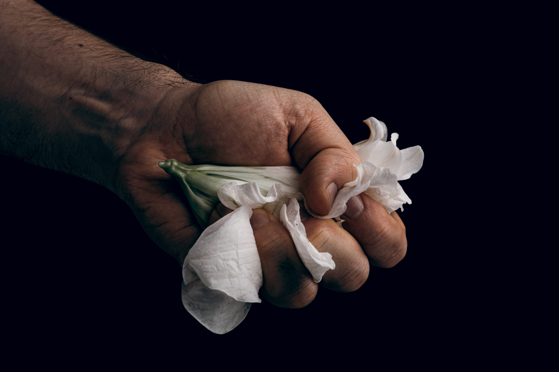 Main qui froisse une fleur blanche